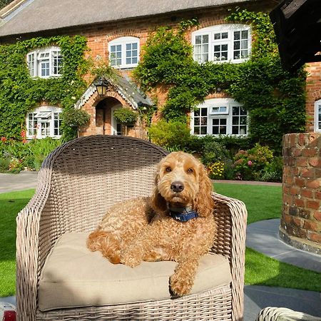 Little Woodside A Beautiful New Forest Self Contained Private Luxury Annexe นิวมิลตัน ภายนอก รูปภาพ