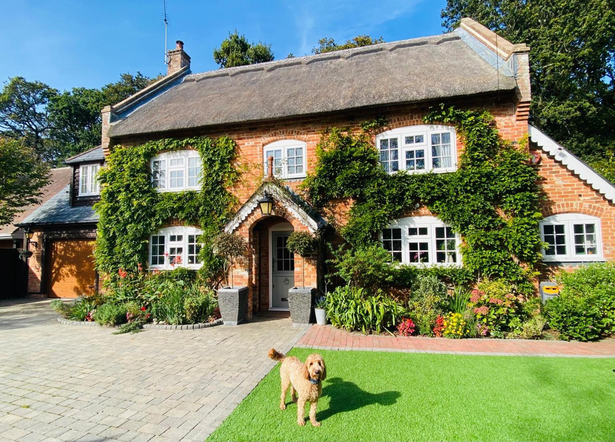 Little Woodside A Beautiful New Forest Self Contained Private Luxury Annexe นิวมิลตัน ภายนอก รูปภาพ