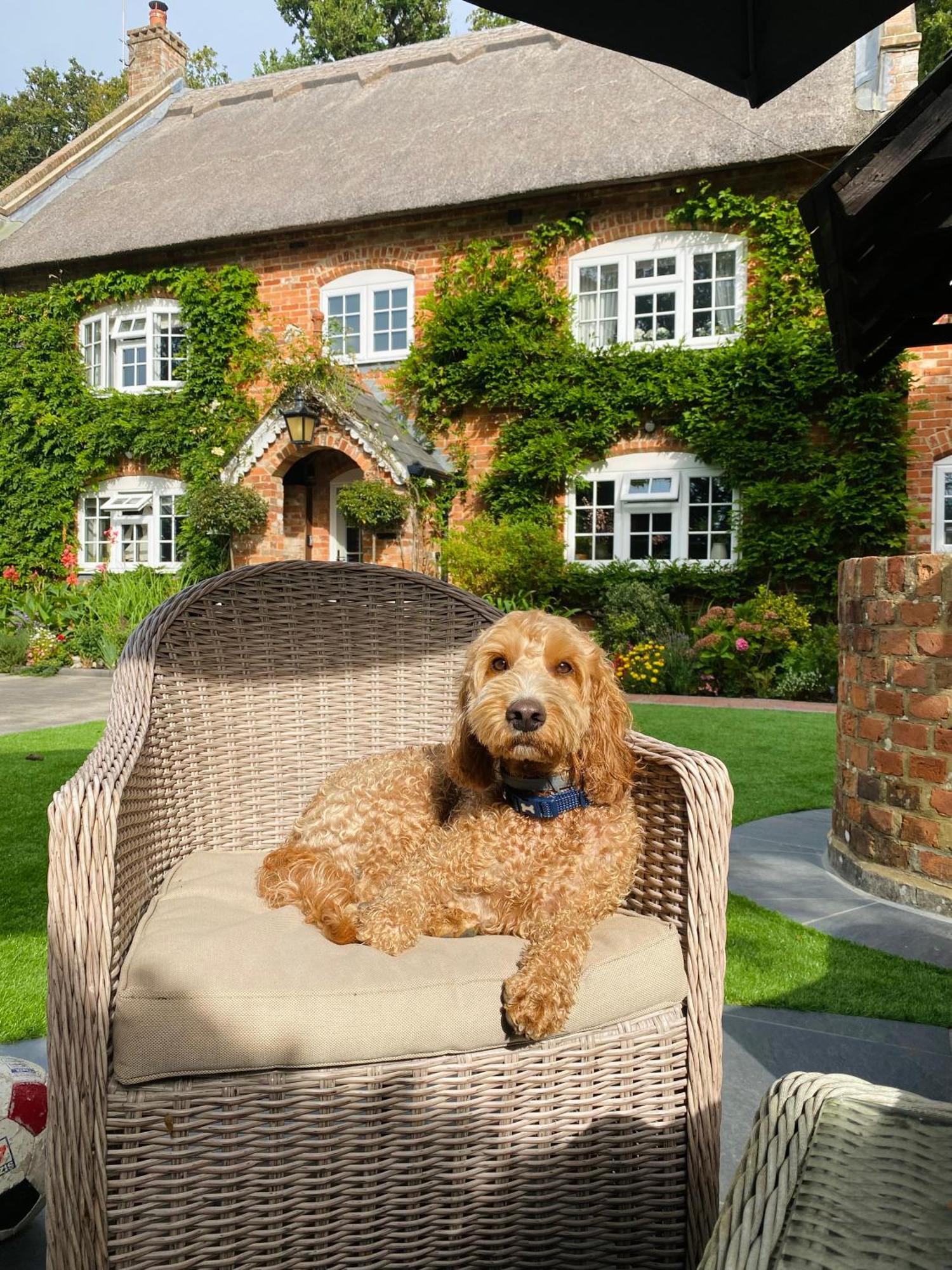 Little Woodside A Beautiful New Forest Self Contained Private Luxury Annexe นิวมิลตัน ภายนอก รูปภาพ