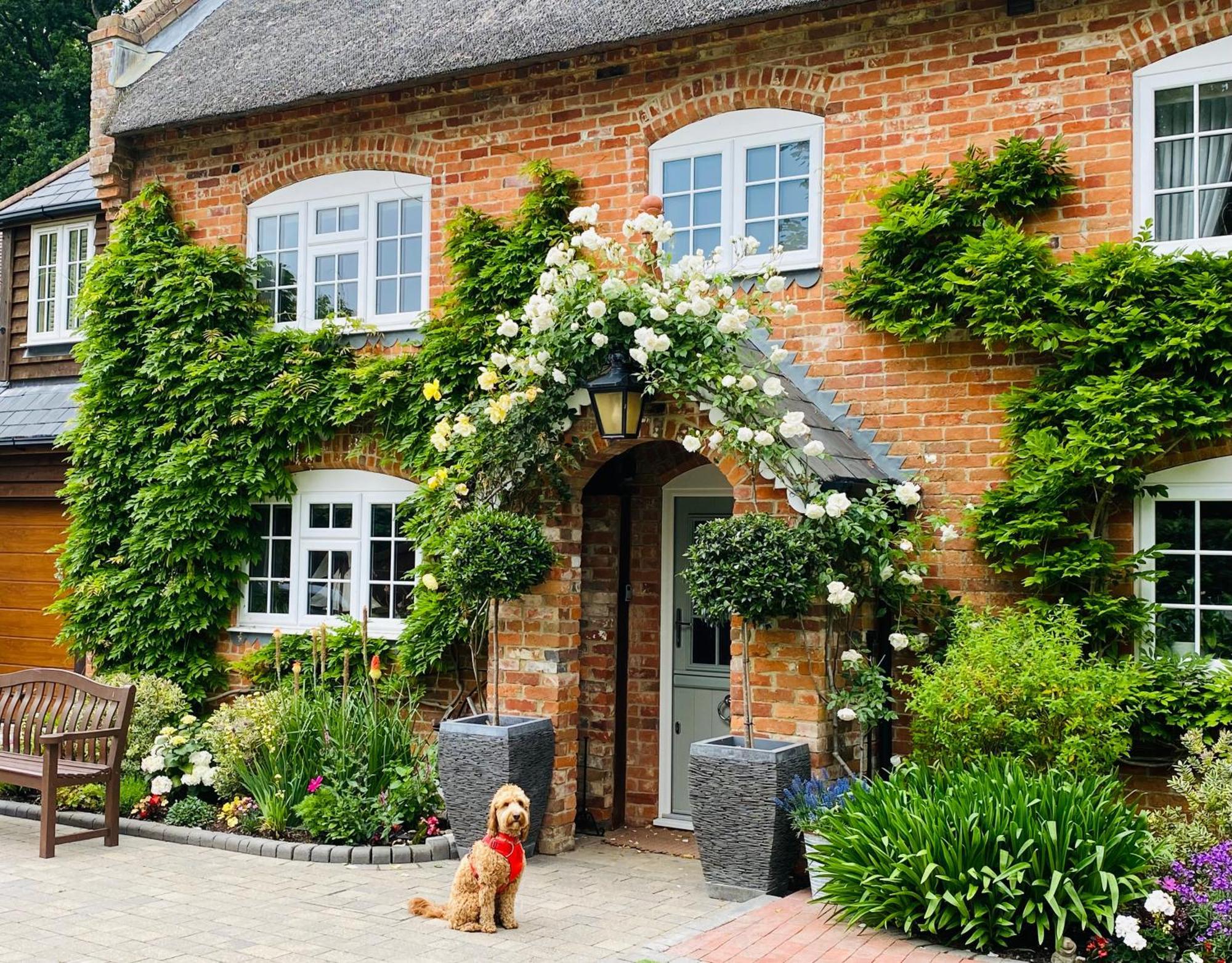 Little Woodside A Beautiful New Forest Self Contained Private Luxury Annexe นิวมิลตัน ภายนอก รูปภาพ