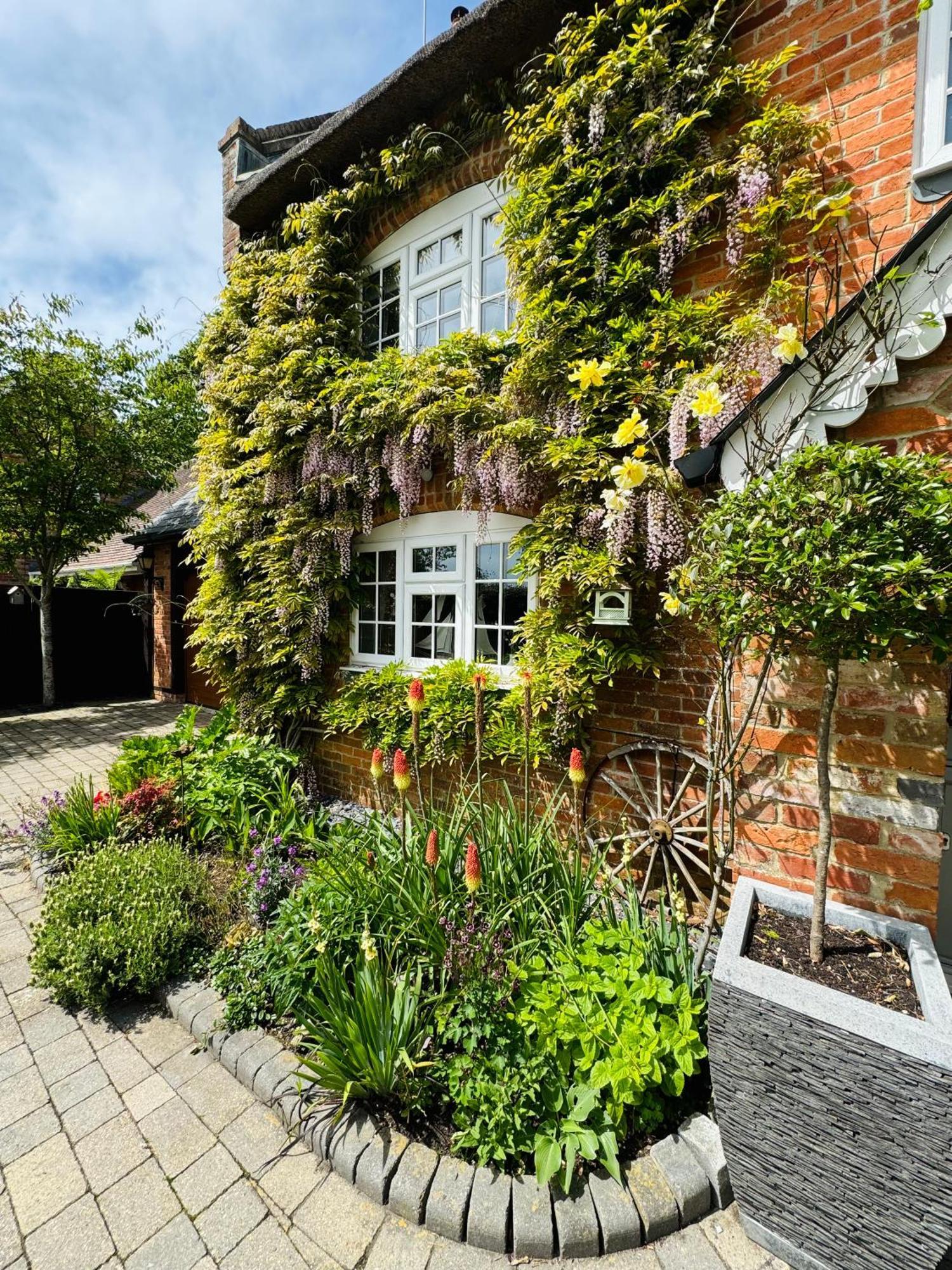 Little Woodside A Beautiful New Forest Self Contained Private Luxury Annexe นิวมิลตัน ภายนอก รูปภาพ