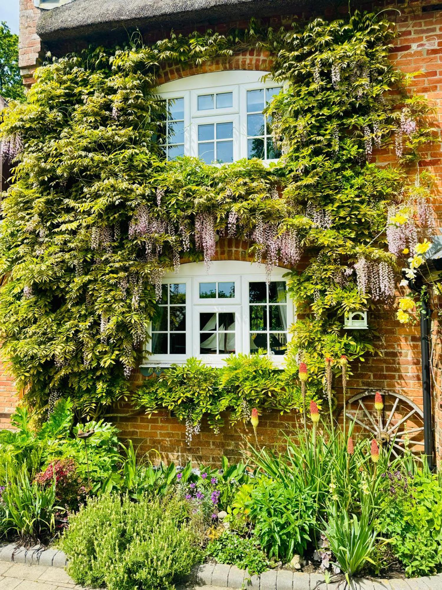 Little Woodside A Beautiful New Forest Self Contained Private Luxury Annexe นิวมิลตัน ภายนอก รูปภาพ